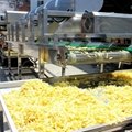 Fried Potato Flakes Chips Making Machine Potato Strips Cutting Machine Line