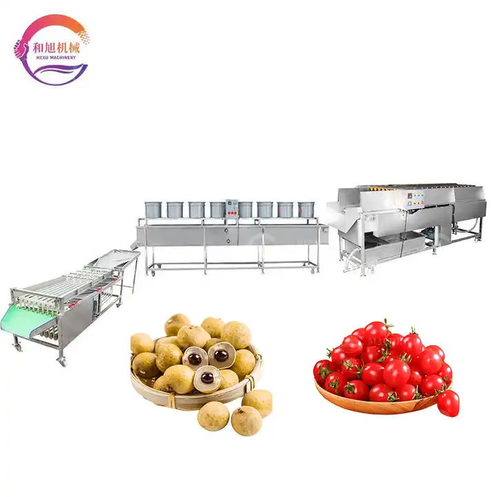 HeXu Washing Blueberry Strawberry Machine Cherry Tomato Sorting Production Line