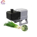 Hot Sale Spring Onion Leek Cutting Machine Green Onion Cutter 1