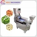 Multifunctional Vegetable Cutter Commercial Vegetable Cutting Machine 1