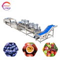 Industrial Orange Apple Tomato Cleaning Washing and Dewatering Production Line 1