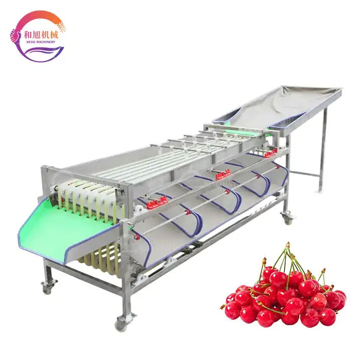 Fruit and Vegetable Sorting and Grading Machine Size Sorting Machine