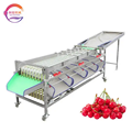 Fruit and Vegetable Sorting and Grading