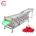 Fruit and Vegetable Sorting and Grading Machine Size Sorting Machine