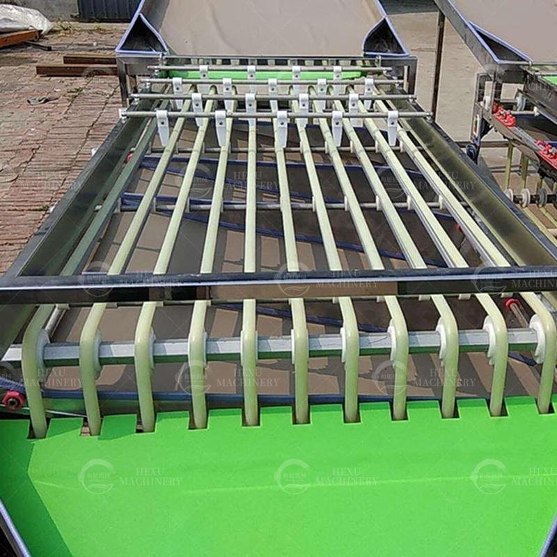 Fruit and Vegetable Sorting and Grading Machine Size Sorting Machine 3