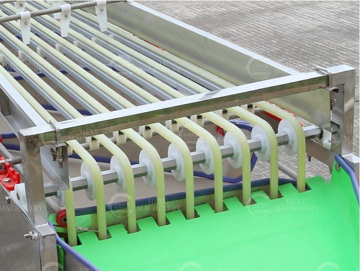 Fruit and Vegetable Sorting and Grading Machine Size Sorting Machine 5