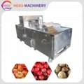 Automatic Fruit Core Removing Machine Cherries Seeds Pitting Machine
