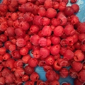 Desktop Model Cherry Core Removing Pitting Machine 7