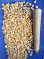 Stainless Steel Thresh Corn Machine/Corn Thresher