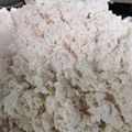  Coconut Meat Grinding Machine Coconut Sherdder Dry Coconut Meat 6