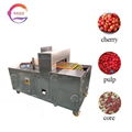 Electric Cherry Pitter Pitting Machine