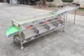 Fruit and Vegetable Sorting and Grading Machine  3