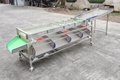 Fruit and Vegetable Sorting and Grading Machine 