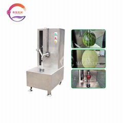 Industrial Coconut Watermelon Melon Pumpkin Apple Peeling Machine