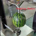 Industrial Coconut Watermelon Melon Pumpkin Apple Peeling Machine 3