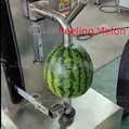 Industrial Coconut Watermelon Melon Pumpkin Apple Peeling Machine