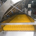 Brush Fruit Washer Ttomato Strawberry Orange Vegetable Fruit Washing Machine 7