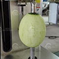 Electric Food Processor Peeler Vegetable Fruit Vertical Peeling Machine 2