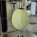 Electric Food Processor Peeler Vegetable Fruit Vertical Peeling Machine
