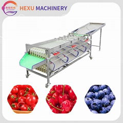 Dates Size Sorter Machine Red Dates Sorting Machine Automatic Fresh Dates Grader