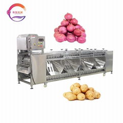 Automatic Orange Fruit Grading Machine Tomato Sweet Potato Sorting Machine