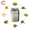 Centrifugal Vegetable Dehydrator