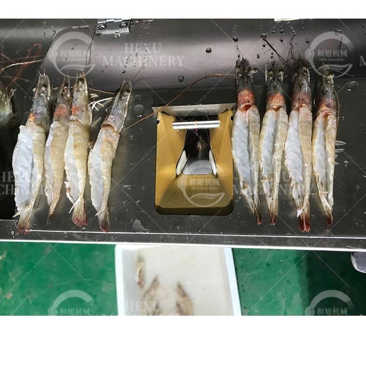 Commercial Shrimp Processing Machine Fresh Shrimp Back Open Cutting Machine 5
