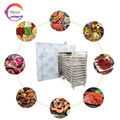 Dehydrator Low Energie Food Drying Machine Hot Air Blowing Vegetable Fruit Dryer