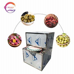 Plum Core Removal Machine Plum Apricot Olive Apple Pitting Machine 