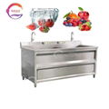Commercial Industrial Bubble Blueberry Strawberry Vegetable Potato Washer 1