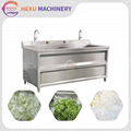 Vegetable Fruit Washer Tomato Washing