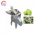 Root Vegetable Slicer Dicer Machine