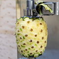 Vertical Watermelon Papaya Pumpkin Fresh Pineapple Jackfruit Peeling Machine 5