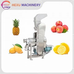 Cold Press Juicer Apple/Carrot/Pineapple Juice Pressing Making Equipment