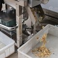 Cold Press Juicer Apple/Carrot/Pineapple Juice Pressing Making Equipment 3
