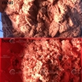 Industrial Use Poultry Deboner Chicken Bone Separator Machine 2