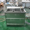  Multifunctional Vegetable Washing Machine Food Washer 3