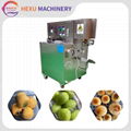 Apple Pear Skin Peeler Fruit Skin Removal Peach Persimmon Peeling Machine