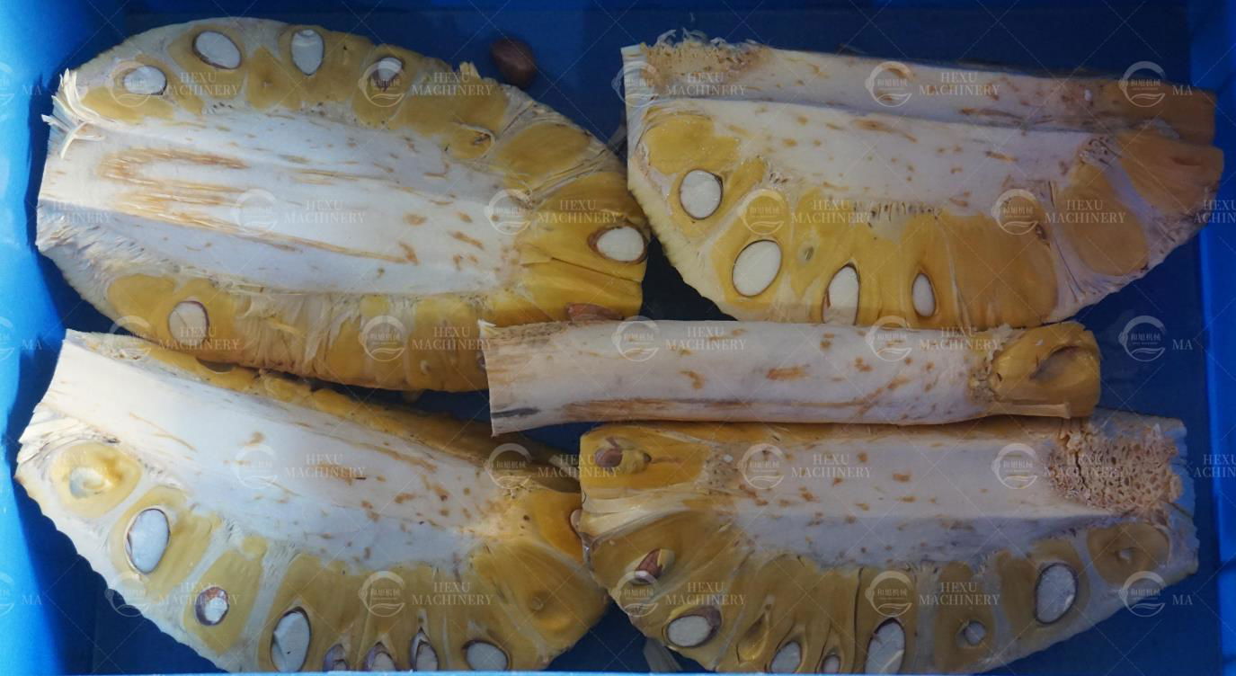 Jackfruit Skin Peeling Coring Separating Cutting Processing Line 5