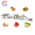 Mango Pineapple Bubble Fruit Vegetable Washing Drying Machine