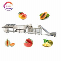 Mango Pineapple Bubble Fruit Vegetable Washing Drying Machine