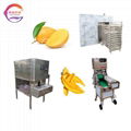 Mango dehydrator-food dryer mango peeling fruit slicer dry mango processing line