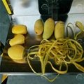 Mango dehydrator-food dryer mango peeling fruit slicer dry mango processing line