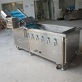 Automatic Leafy Fruit and Vegetable Salad Washing Cutting Production Line