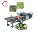 Automatic Vegetable Fruit Cutting Washing Drying Production Line Salad Vegetable