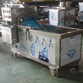 Automatic Vegetable Fruit Cutting Washing Drying Production Line Salad Vegetable