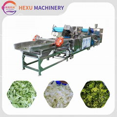 Automatic Salad Vegetable Production Line 