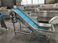 Automatic Salad Vegetable Production Line  3