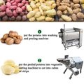 potato dewatering vegetable-fruit cutter dicer line 2