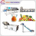 Fruit Washing Sorting Machine Mango Dryer Machine Fruit Drying Machinery 1